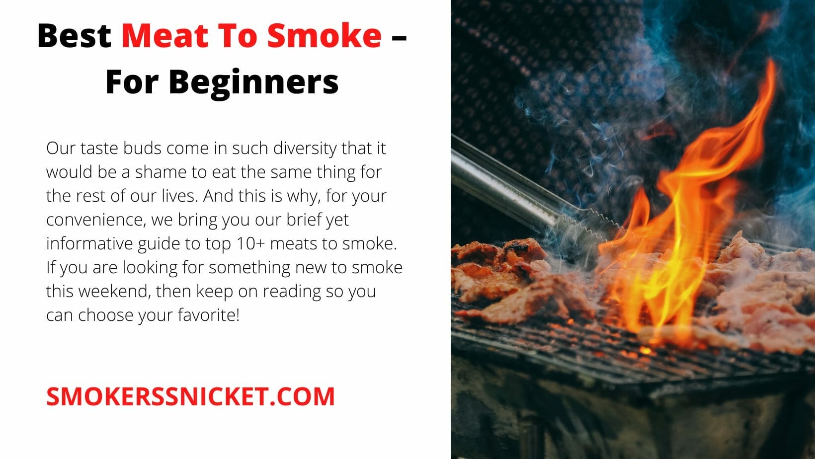 Best Meat to smoker for begginers