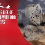 Double the Life of your Grill with BBQ Cleanup Tips